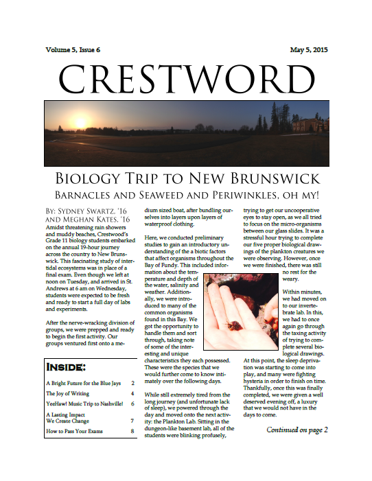 Crestword V.5 E.6 Pic